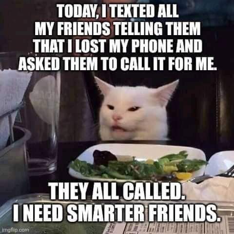 FB_IMG_1646291068749