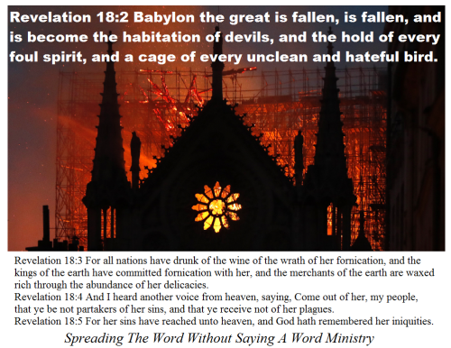 57439888_2272053856210066_7748866251824300032_n