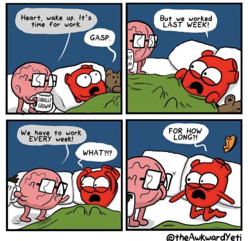 14:25:56 GMT-0600 (CST).image