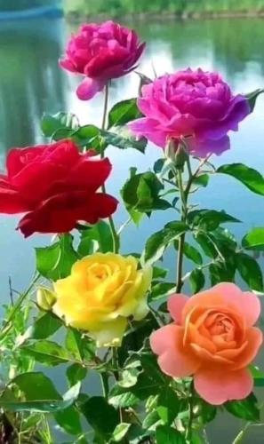 12:00:18 GMT-0500 (CDT)