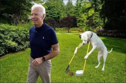shitshow joe12