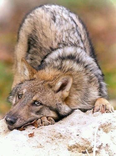 16aa1ca82755e5267011026e0807dcf7