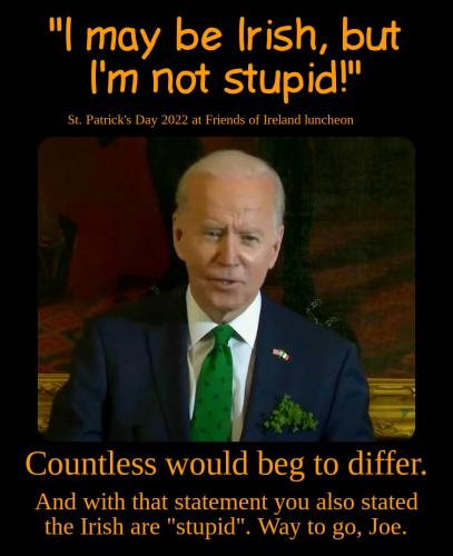Political - Biden Irish But Not Stupid