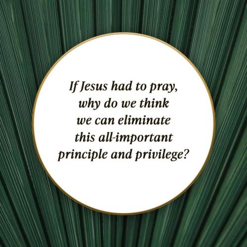 5e1c9e4a-1eb6-434c-afaf-55da0ebcf933