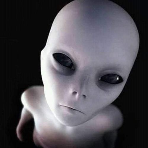 IMG_20210314_144409_411