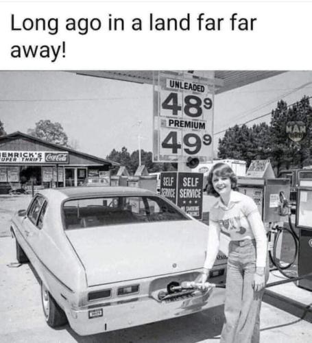 img.jpeg-12