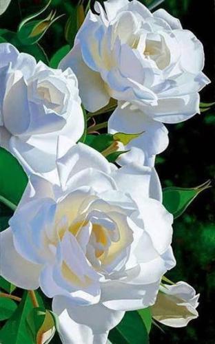 21:51:36 GMT-0500 (CDT)