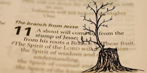 96fcb317-2760-4d7b-9442-22d1cf0a122d