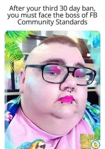 FB_IMG_1647984815295