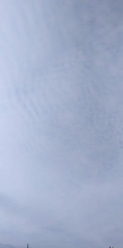 received_1572848516427207