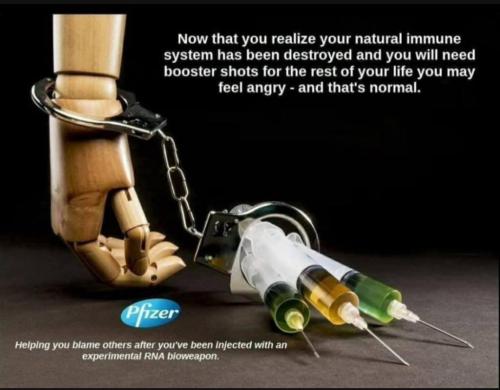 Screenshot_20220304-074538_Signal