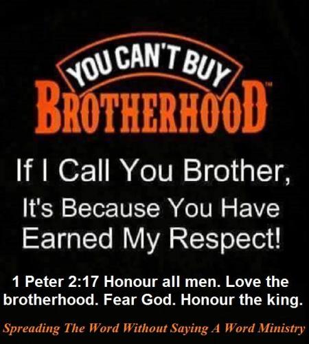 53873371_2219368548145264_1810640328026226688_n