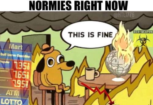 21b7ce92-d321-43b3-bf02-0e9b3799dc91