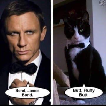 275707323_10158847646031814_8878882930447735429_n