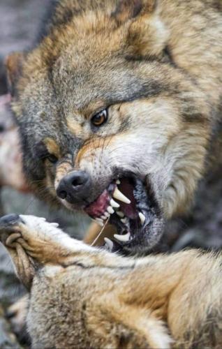 tumblr_8c6c5ead86f8c7e69663d20098e4bb87_2b1e8ba5_640