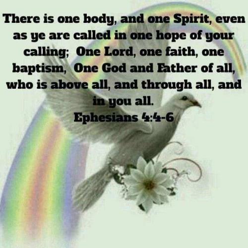 275e5761-0cef-4839-941c-24c0f7272883