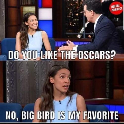 FB_IMG_1646955736625