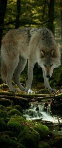 19:27:00 GMT-0600 (CST)