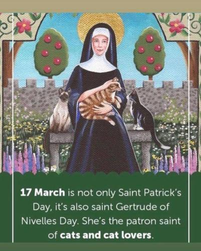 photo_2022-03-17_19-46-05