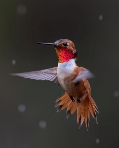 tumblr_fb13ca96bab5669f2793545c240d656c_9ea35c7f_540