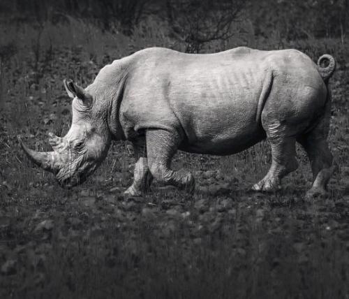 tumblr_51ae361db92698093ad682b4a8f141b3_00b7945b_540