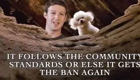 FB_IMG_1646261028554
