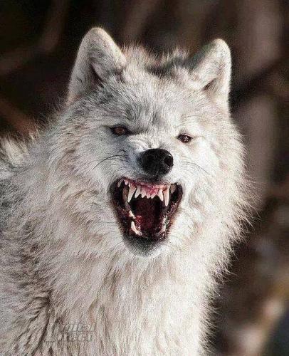 26f3f044644c000f4d0b5cc3485a2890