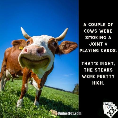 277226264_10159943602815119_1289131642012475618_n