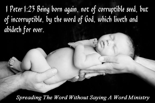 277027850_389446376001986_2107877997652245925_n