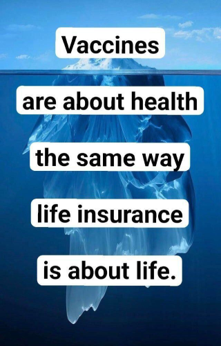 Vax health life insurance