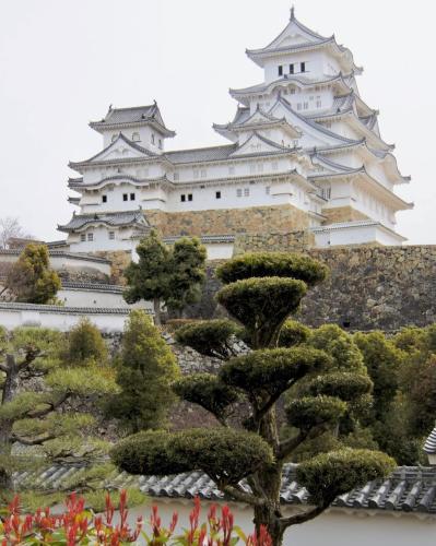 277175955_508551400987071_6871645694349818961_n