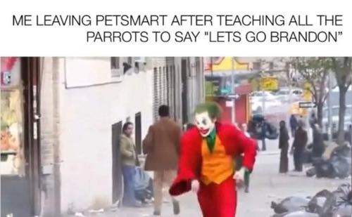 FB_IMG_1647716088131