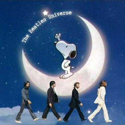 275200784_510189653800444_3875169650261341849_n