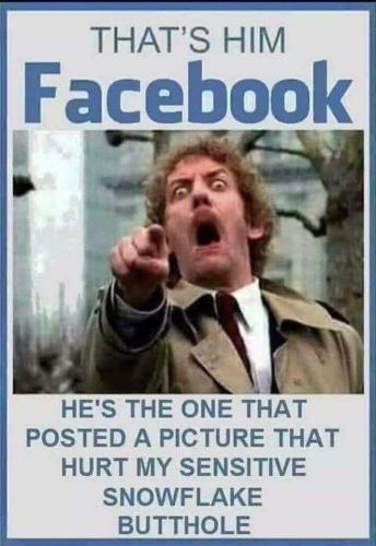 275665363_998126367808048_7988530170985167014_n