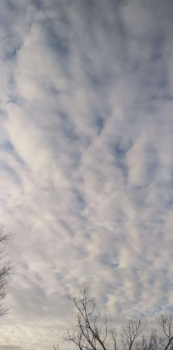 df9db76b-84f9-4e53-a4f4-a46749807e6e