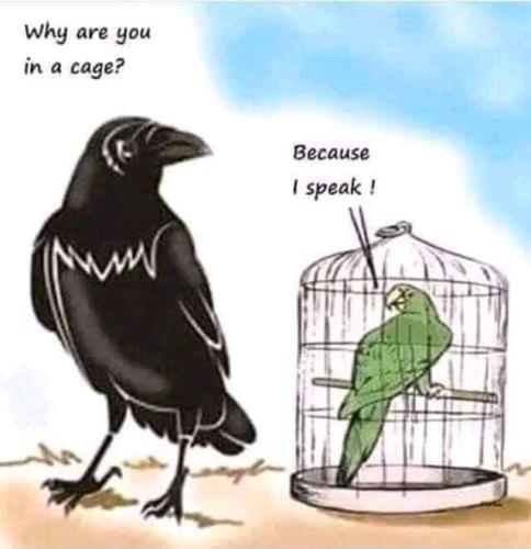 275357550_106718025298377_5755457945076247259_n