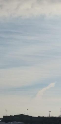 received_1095338304654563