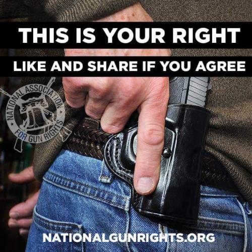 FB_IMG_1646607315584