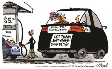 payn_c18908020220314120100-375x275