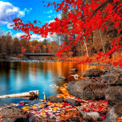 Nature-Autumn-Red-Leaf-Calm-Lake-Landscape-ipad-air-wallpaper-ilikewallpaper_com_1024x1024