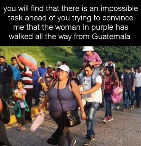 illegal immigration274