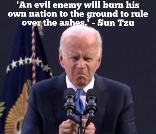 biden848