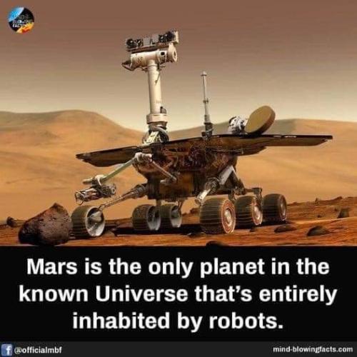 FB_IMG_1647487574960