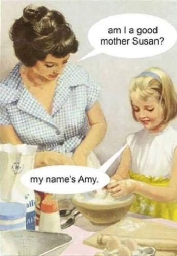 am i a good mother susan