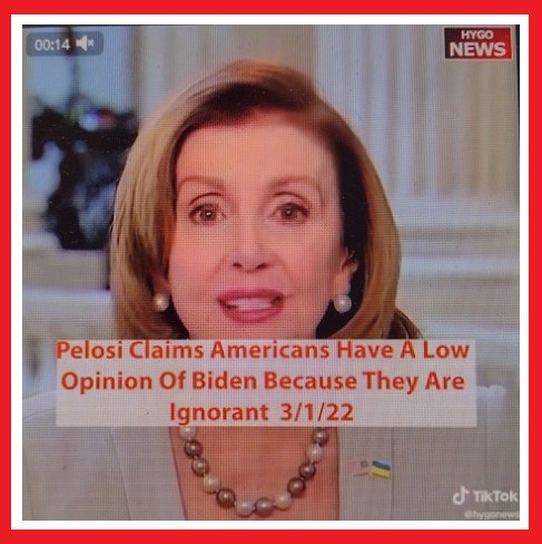 pelosi ignorant