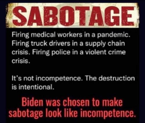biden876