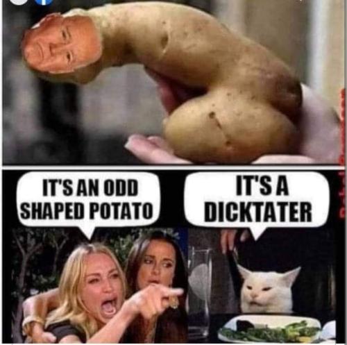 FB_IMG_1648103885121