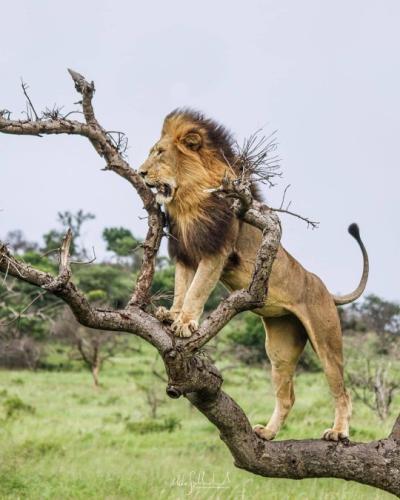 tumblr_5a965d7007d0d6833127d784f6c378dd_88f453c0_540