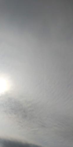 received_462995025518405