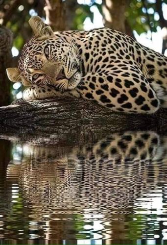 tumblr_a96522ecb09b18f04bc120661f09222c_f7da0970_540